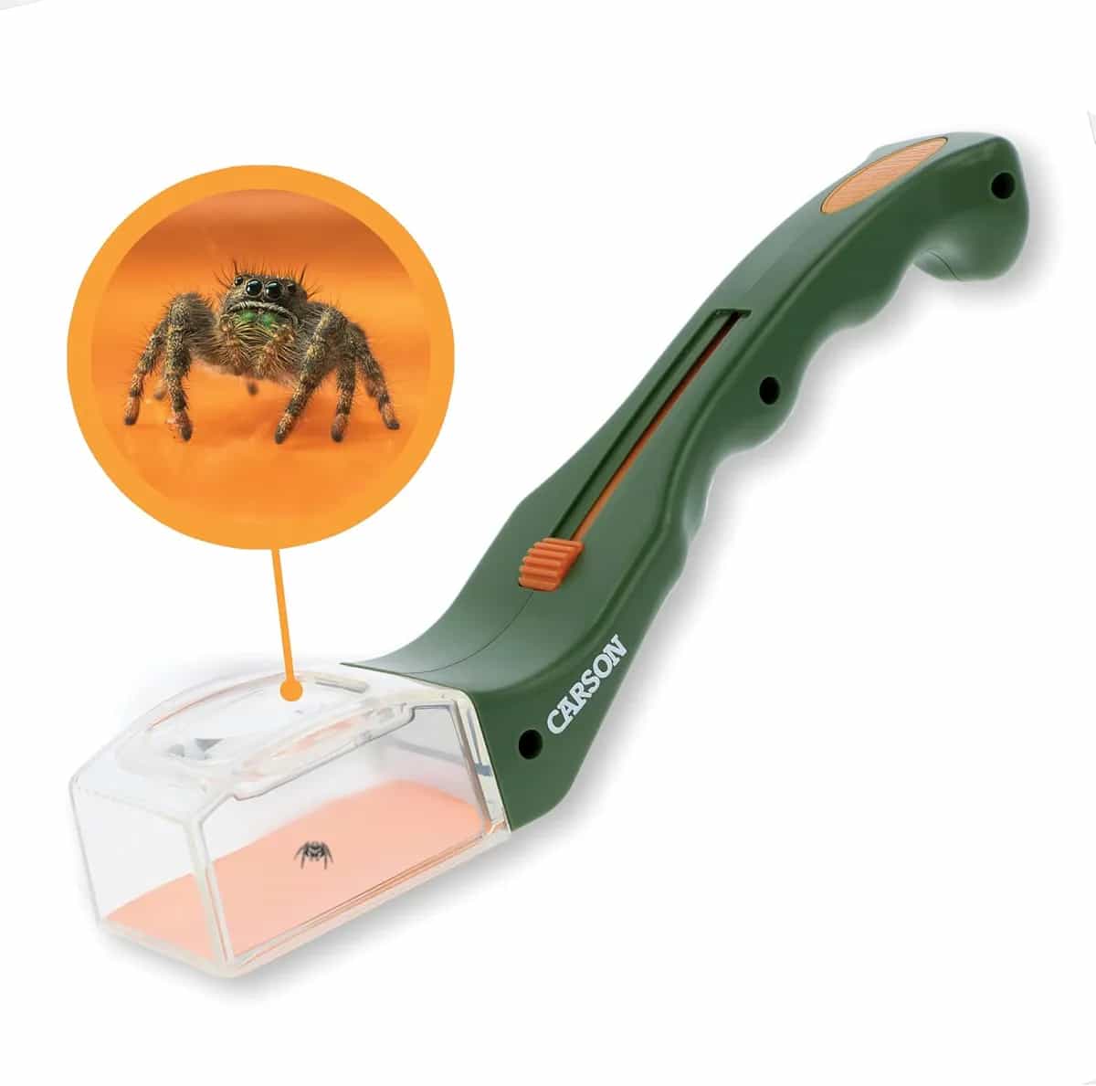 Carson BugView 5X Lupa de liberación rápida para atrapar insectos, herramienta para interiores y exteriores para niños o adultos (HU-10)