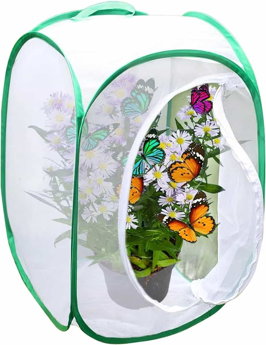 SunGrow Hábitat de mariposas plegable, jaula de mariposas de 24 pulgadas para orugas, crear granja, recinto para la cría de moscas soldado, mariquita, libélula o mosca doméstica para alimentación de p