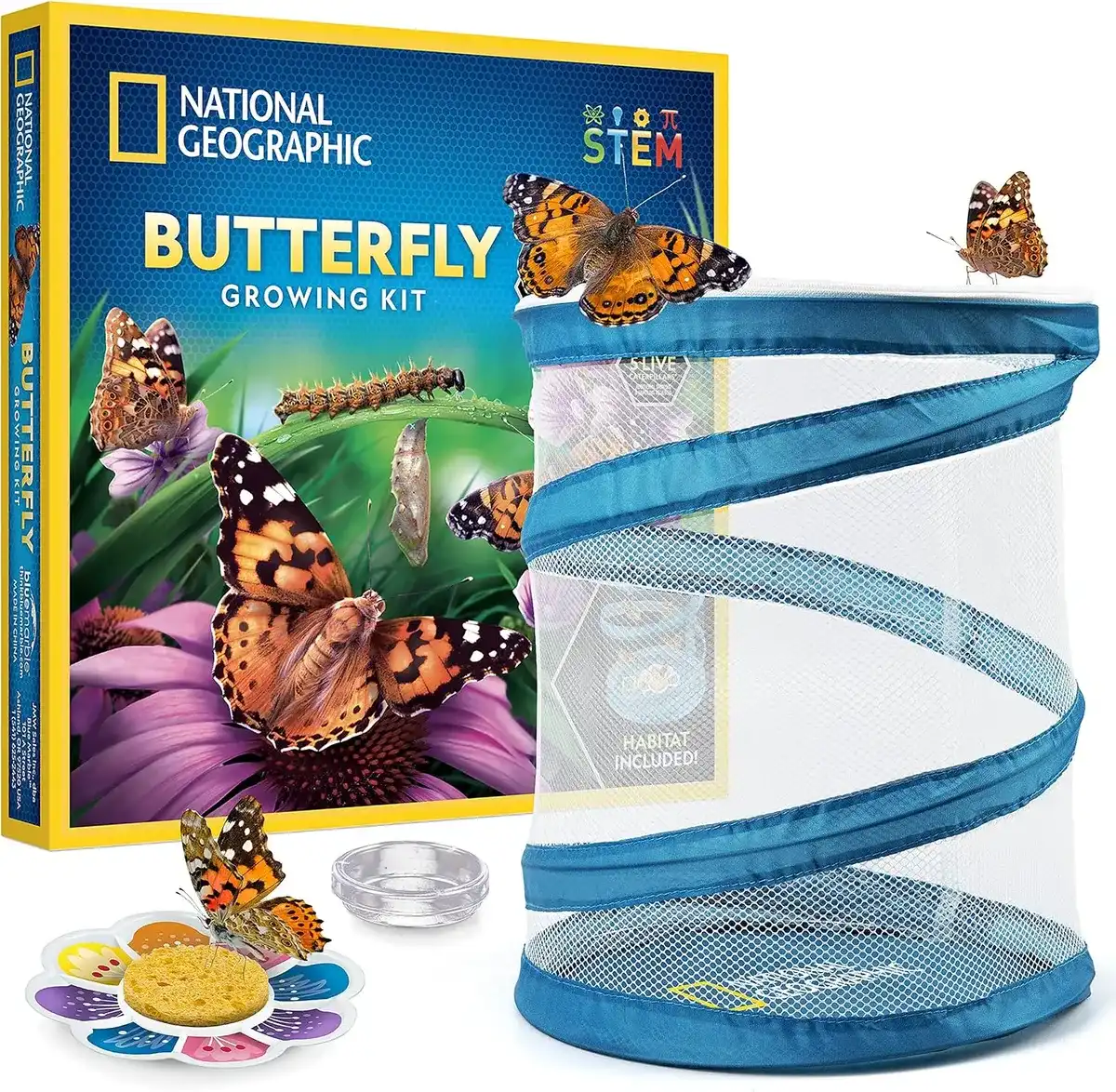 Kit de cultivo de mariposas de National Geographic para niños Actividad en la naturaleza | Hábitat de malla, vale para 5 orugas vivas, plato de alimentación y esponja, ciencia de la metamorfosis, apre