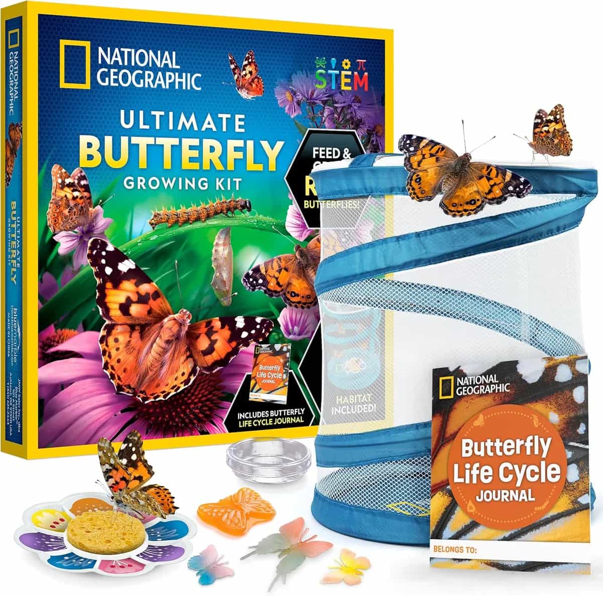 Kit de hábitat de cultivo de mariposas definitivo de National Geographic para niños | Vale para 5 orugas, hábitat de mariposas de malla, figuras que brillan en la oscuridad, ciencia de la metamorfosis