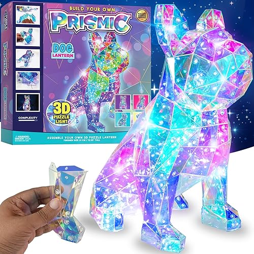 Iluminación Canina Creativa: Haz Tu Propia Luz de Perro 3D - Regalos Inspiradores para Jóvenes Exploradoras (8-12 Años)