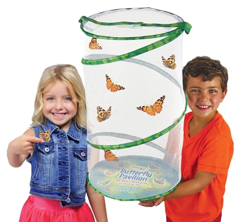Set de mariposa gigante de Insect Lore: hábitat de lujo de 18 pulgadas, vale para 5 orugas, set de juego de mariposa