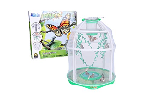 Uncle Milton Butterfly Farm Live Habitat - Observe que las orugas se transforman en mariposas, juguete STEM, gran regalo para niños y niñas a partir de 6 años