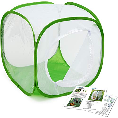 RESTCLOUD - Jaula de insectos profesional con diseño de mariposas, parte inferior de poliéster para una limpieza más fácil