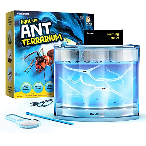 Kit de terrario de granja de hormigas iluminadas para niños, hábitat LED para hormigas vivas con gel rico en nutrientes, míralas cavar sus propios túneles, aprendizaje de la naturaleza, juguetes de