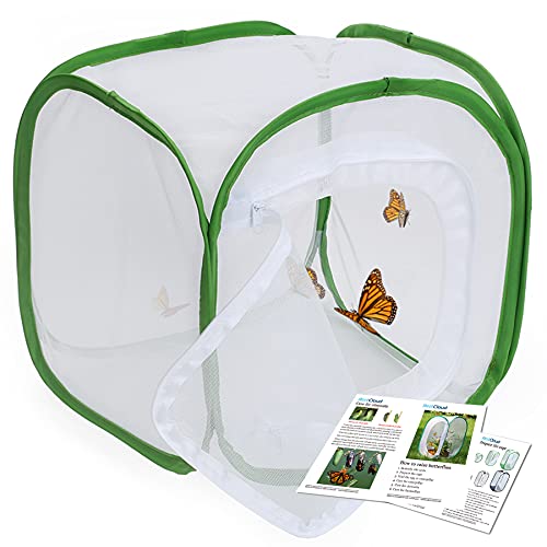 RESTCLOUD Jaula de hábitat para insectos y mariposas con protección de cremallera, 12 x 12 x 12 pulgadas