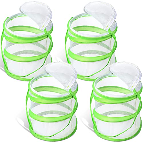 Sherr Paquete de 4 jaulas de hábitat de mariposa de malla transparente, contenedor de hábitat de red de mariposa, terrario desplegable (5.5 x 7.1 pulgadas)