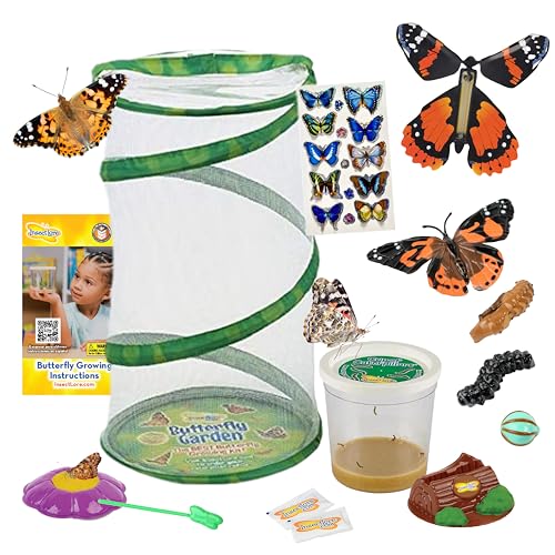 Insect Lore Butterfly Garden - Hábitat de 8 pulgadas | 1 taza de orugas vivas para bebés | Figuras de ciclo de vida, calcomanías, enrollado, mini hábitat | Set de regalo de cumpleaños o profesor