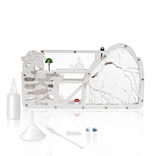 Ant Castle Farm - Kit de observación de colonias de hormigas vivas y hábitat de aprendizaje científico para niños