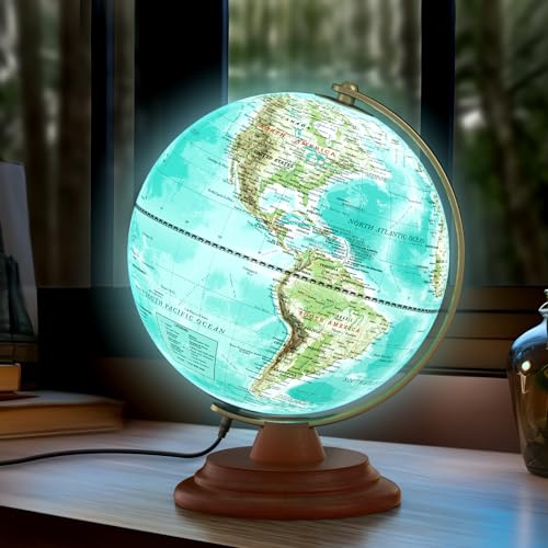 Globo del mundo iluminado con soporte de madera, globo mundial de 8 pulgadas para aprendizaje de niños y adultos, luz nocturna LED incorporada, decoración de aula en casa, oficina, regalos