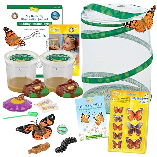 Insect Lore Jardín de mariposas como se ve en la televisión | 10 orugas de bebé en vivo | Hábitat, figuras, calcomanías, semillas, diario STEM | Levanta y suelta mariposas pintadas de dama