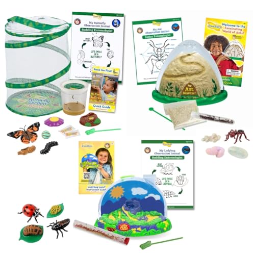 Insect Lore Paquete de campamento de insectos | Kit de mariposa con 1 taza de orugas vivas | Tierra de mariquita con 1 tubo de larvas vivas | Montaña de hormigas con 1 tubo de hormigas cosechadoras