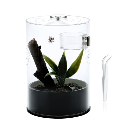 Kit de inicio de caja de araña saltadora con plato de alimentación, cunas de tarántula para caracoles Mantis, mariquitas, insectos, accesorios de jaula de micro hábitat