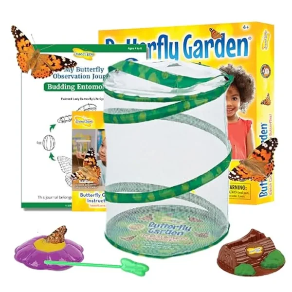 Jardín Insect Lore para mariposas vivas, NA