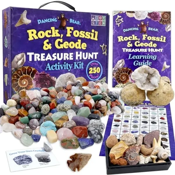 Set de actividades de la colección Rock & Mineral (más de 150 piezas), hoja de identificación educativa más 2 geodas fáciles de romper, dientes de tiburón fosilizados y flechas de la marca Dancing Bear