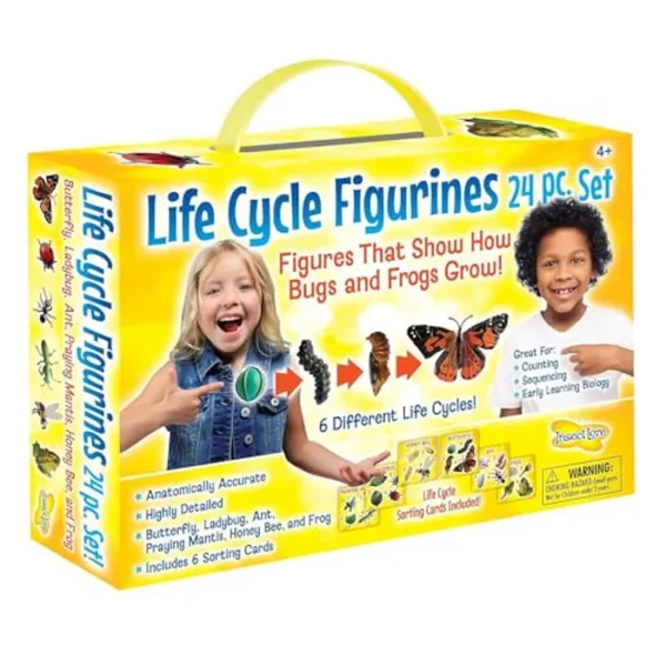 Insect Lore Juego de figuras de ciclo de vida, 24 piezas, marrón/a