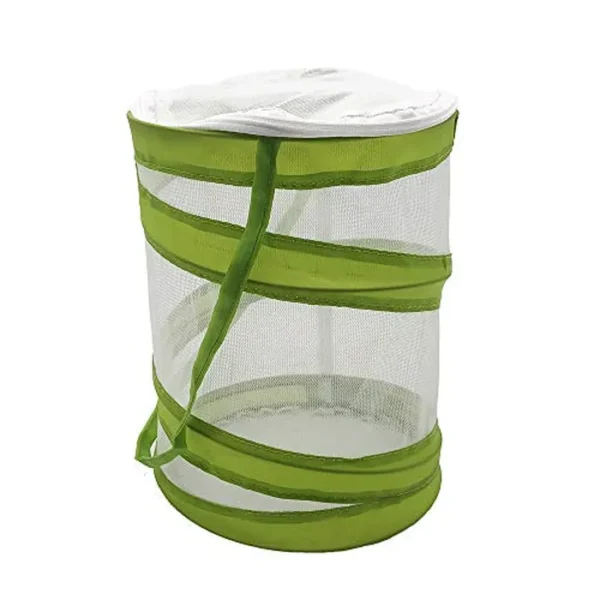 CatYou Mini jaula de malla para insectos y hábitat de mariposas y orugas, terrario de insectos emergente de 5.5 x 7 pulgadas de alto para niños