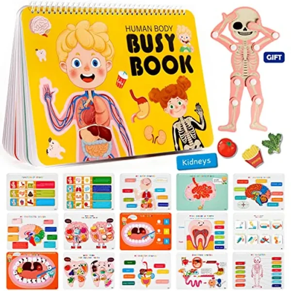 Freebear Montessori - Libro de actividades para niños, libro de anatomía del cuerpo humano para niños pequeños, actividades de aprendizaje de jardín de infantes, juguetes sensoriales para autismo,