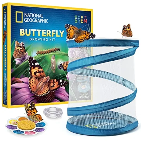 NATIONAL GEOGRAPHIC - Kit de cultivo de mariposas, kit de hábitat de mariposas con vale para canjear 5 orugas (S&H no incluidos), jaula de mariposa, alimentador (exclusivo de Amazon)