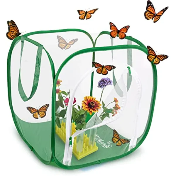 Baby Cube - Jaula de mariposa de malla transparente con puente levadizo puerta abierta | 14 pulgadas de largo x 14 pulgadas de ancho x 16 pulgadas de alto | Levanta hasta 10 monarcas con hábitat