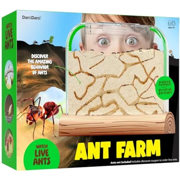Kit de granja de hormigas para niños, colonia de granjas, incluye cupón de hormigas, kits de hábitat de arena, casa de terrario de insectos, regalos educativos de ciencia para niños, juguetes de