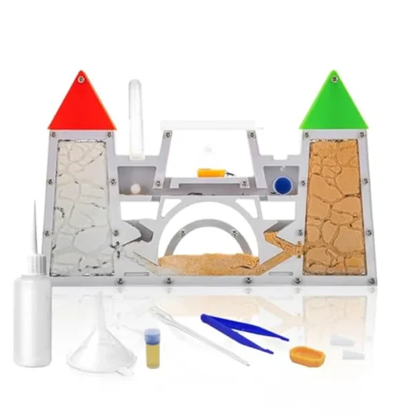 Kit de granja de hormigas para niños, kit de terrario de colonia de hormigas de arena para educación y aprendizaje, juguete de ciencia para niños, niñas y adultos (rojo verde)